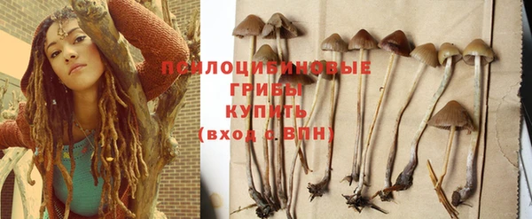 дмт Баксан