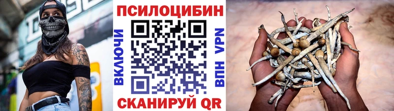 Псилоцибиновые грибы Psilocybine cubensis  Любим 